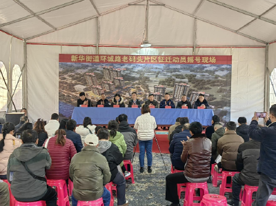 摇号启征迁新程 公平筑新华新貌