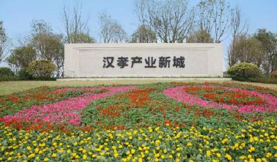 汉孝产业园开门红：新春首宗工业用地走“特别通道”成功摘牌