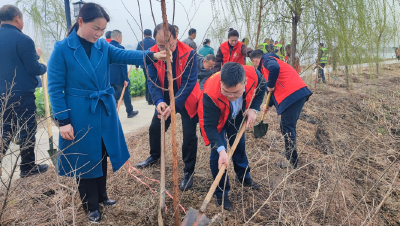 陡岗镇掀起植树热潮，助力“万树村”建设