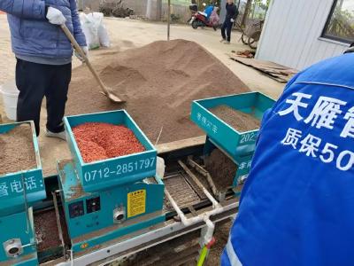 孝感孝南：香稻种植基地 按下育秧培土“加速键”