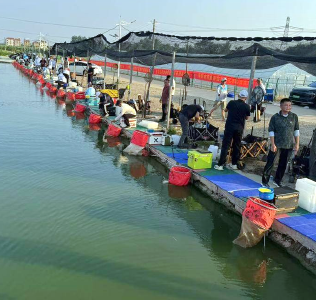 孝感孝南：农旅融合新体验，休闲采摘正当时