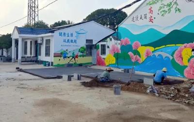 孝感孝南：从“一路美”到“全域美” 深化S419沿线村人居环境整治