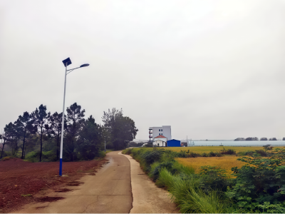 孝感孝南：“一事一议”点亮乡村振兴路 自然湾路灯覆盖率超八成
