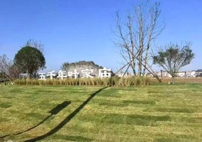 从初步勘探到规范守护：叶家庙遗址考古与保护并行