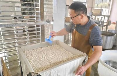 孝感孝南：点豆成金，小豆腐撬动乡村振兴大发展