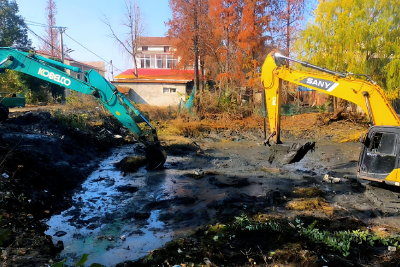 一池清水润民心！孝南区朋兴乡这场“小行动”，激活和美乡村“大活力”