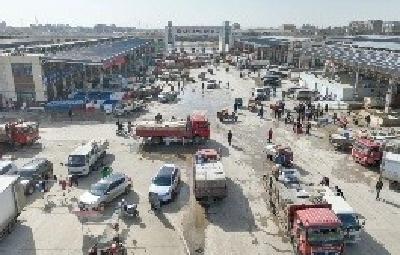 “鱼”跃新春！年味渐浓备货忙，首衡城水产区购销两旺