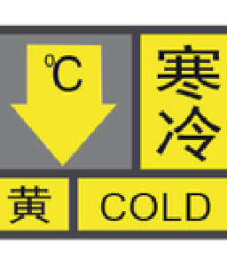关于应对持续低温雨雪冰冻等灾害性天气的指导意见