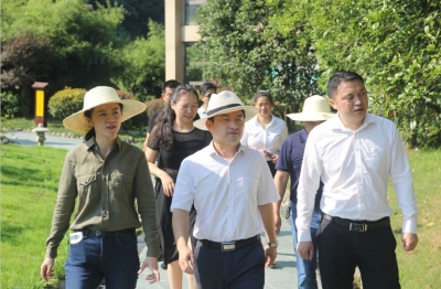 咸安区组织开展暑期旅游安全工作检查