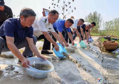 3000万尾四大家鱼在西凉湖“安家”
