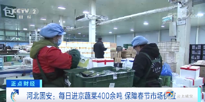 河北固安：每日进京蔬菜400余吨 保障春节市场供应来源