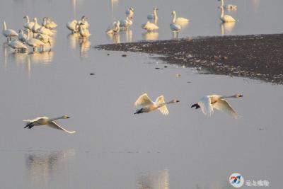 咸安地名故事——北洪港