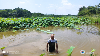 杨华：一个光头的绿色理念