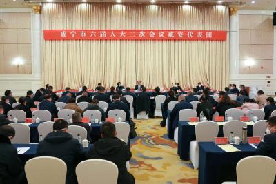 【聚焦咸宁两会】杨军在参加咸安代表团审议时提出  锚定目标 奋勇向前 克难攻坚 推动发展