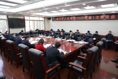 李军平主持召开区政府2023年第1次常务会议