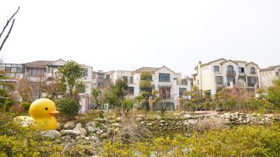 碧桂园社区：荒地变景观 花木市场扮靓家园