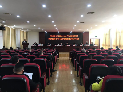 双溪桥镇召开2022年度基层党组织书记党建述职大会
