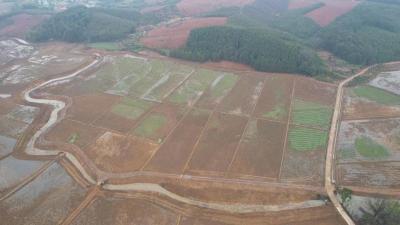 咸安区：建设高标准农田 实现高效化种植