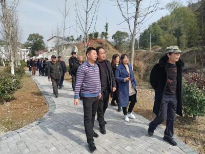 官埠桥镇：“七个一”助推共同缔造走深走实