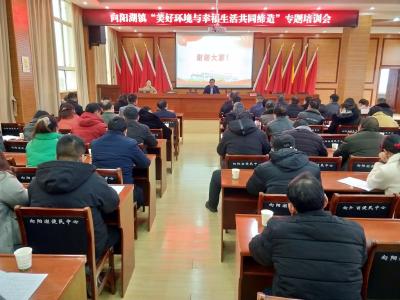 向阳湖镇：开展共同缔造专题培训 激发镇村干部头脑风暴