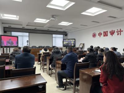 咸安区审计局收听收看全省审计工作视频会议