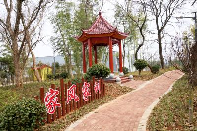 （长江云）恰逢春日好时光 快来游园玩耍吧~