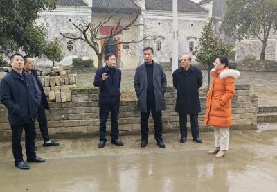 区领导赴马桥镇组织召开驻村工作会  