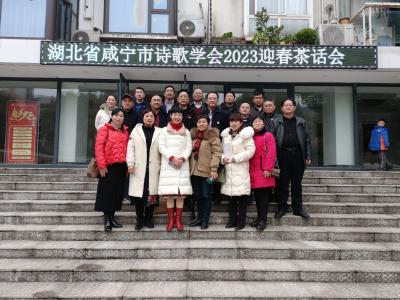 咸宁市诗歌茶话会“以诗为媒”开新篇
