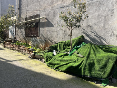 岔路口社区：共同缔造变“扎心路”为“民心路”