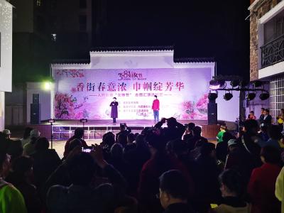 咸安区举办“香街春意浓 巾帼绽芳华”志愿汇演