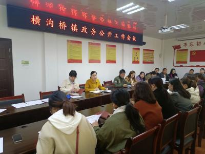 横沟桥镇：政务公开政务服务工作会议召开