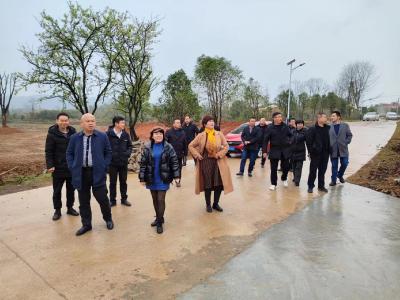 桂花镇：外出学习强交流，共同缔造促提升