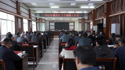 咸安区召开2023年卫生健康工作会议