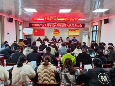 咸安区10个乡镇团委换届选举工作圆满完成