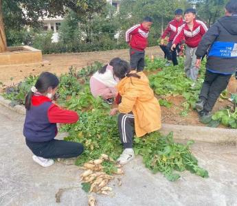 （长江云）将课堂搬到“田间地头”！学生直呼，就是不一样