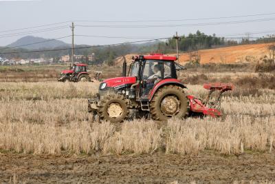 汀泗桥镇：人勤春来早，春耕正当时
