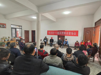 高桥镇白水村：屋场会里话发展，共同缔造美家园