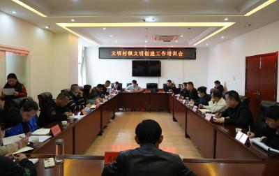 区创文办召开文明村镇创建工作培训会