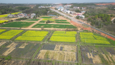 （长江云）咸安：推动农村环境综合整治，提升美丽乡村建设水平