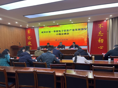 咸安区召开第一季度电子信息产业发展领导小组会商会