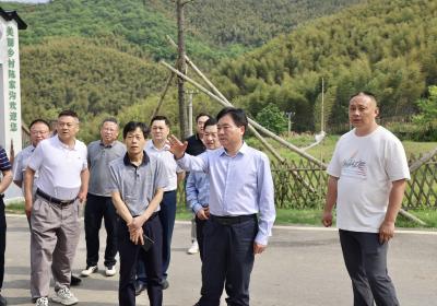 顾兴旺在陈家沟景区调研时强调  把服务好项目建设作为应尽之责 