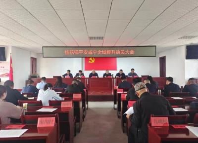 桂花镇召开“平安咸宁全域提升”动员会