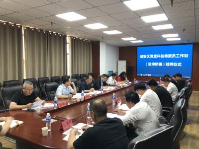 咸安区湖北科技特派员工作站（官埠桥镇）挂牌运营