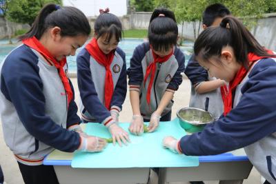 咸宁市第五小学：清明“食”节 只此青绿  