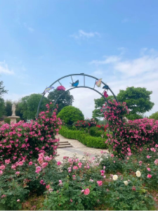 五一咸安区旅游攻略新鲜出炉！赶快收藏