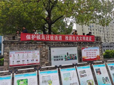 咸安区举办第41届“爱鸟周”宣传活动