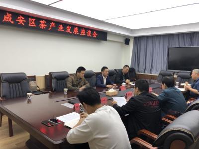 咸安区召开全区茶产业发展座谈会