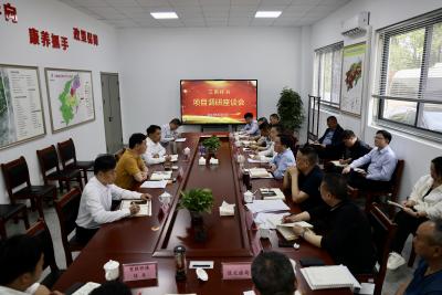顾兴旺调研江南桂谷项目建设时强调  努力将项目建设成为武汉都市圈独树一帜的康养目的地