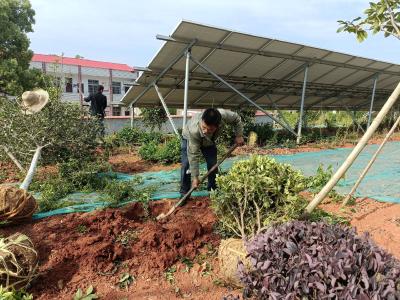 双溪桥镇梅岐村：党群乡贤齐上阵 共同缔造美丽家园
