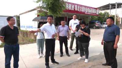 偏远乡村来了党员规划师